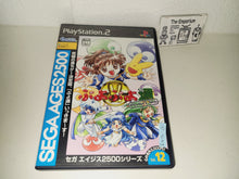 Load image into Gallery viewer, Sega AGES 2500 Series Vol. 12 Puyo Puyo Perfect Set - Sony playstation 2
