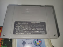 Load image into Gallery viewer, Super Donkey Kong  - Nintendo Sfc Super Famicom
