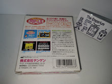 Load image into Gallery viewer, Magical Puzzle Popils - Sega GameGear Sgg
