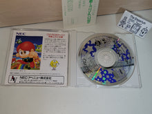 Load image into Gallery viewer, Rainbow Islands - Nec Pce PcEngine
