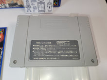 Load image into Gallery viewer, serge - Zen-Nippon Pro Wrestling
 - Nintendo Sfc Super Famicom
